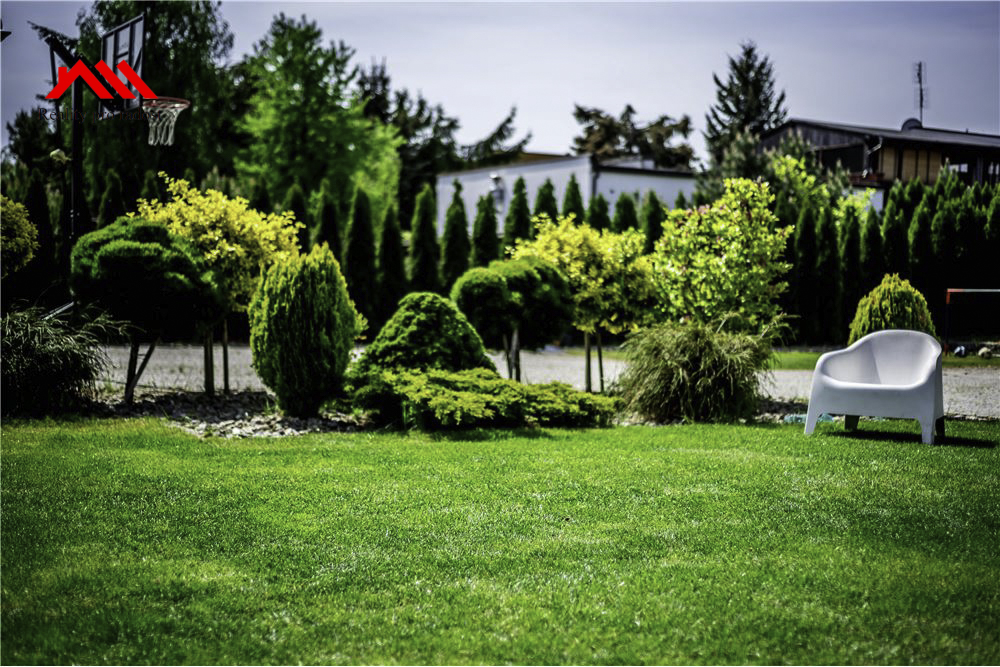 L_3197c84114bf4441b7e4214f4fd1f068